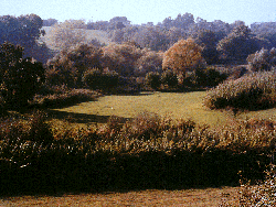 Valle dei Casali