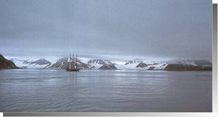 fauna Isola di Svalbard